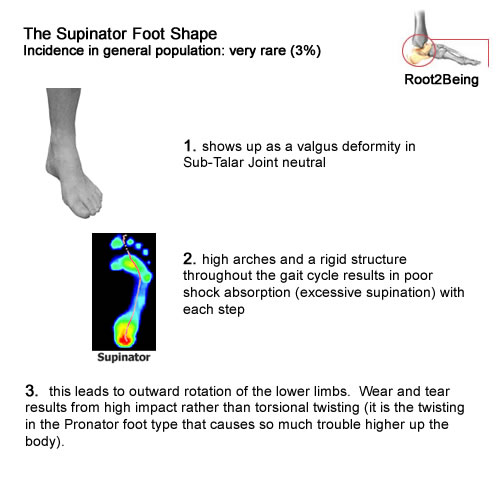 The supinator foot shape identifiers: valgus deformity, hypersupination and insufficient shock absorption