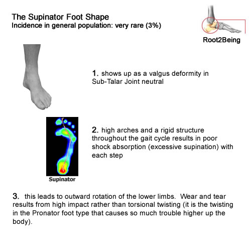 Pronation and Supination – Root2Being