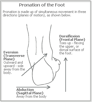 pronation and supination: pronation is created by eversion, abduction and dorsiflexion