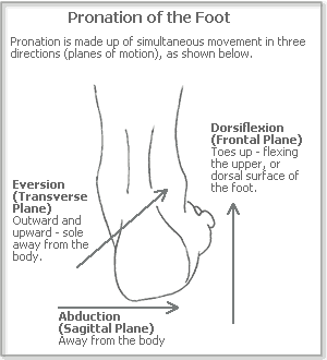 What are Pronation and Supination?