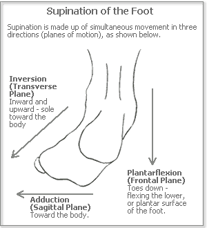pronation and supination: supination is created by inversion, adduction and plantarflexion